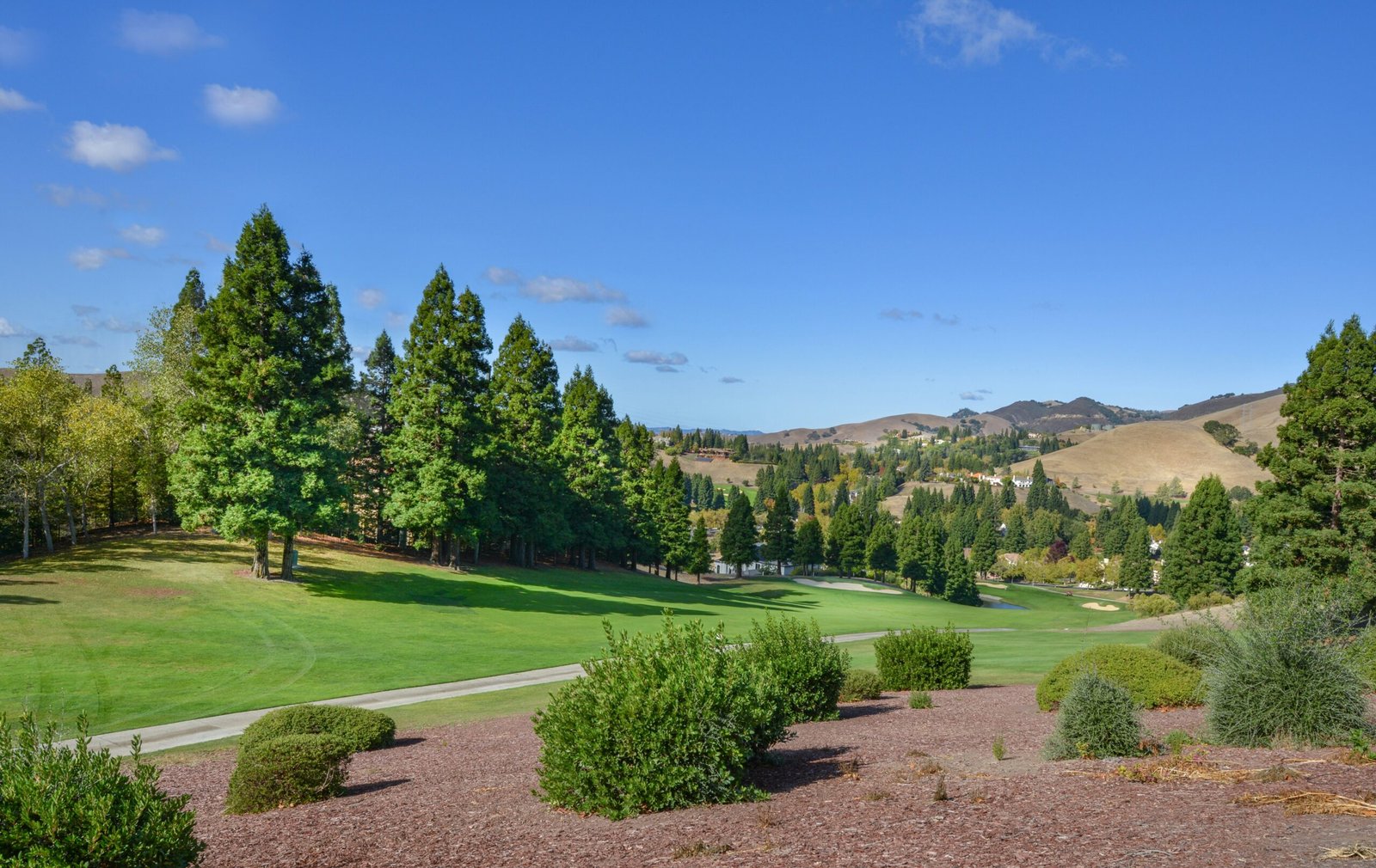 a golf course surrounded by trees and bushes